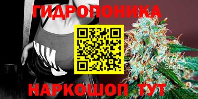 дживик Северобайкальск