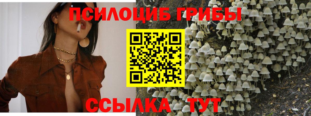 купить наркоту  Псилоцибиновые грибы мухоморы  Вход с VPN  Псилоцибиновые грибы Magic Shrooms  Светлоград 