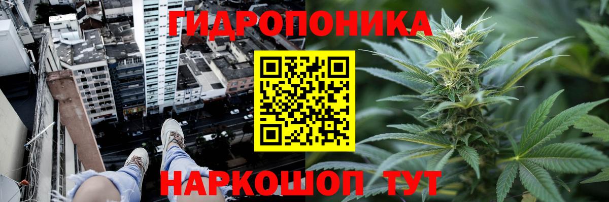 Шишки марихуана White Widow Светлоград